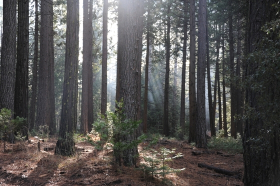 Yosemite