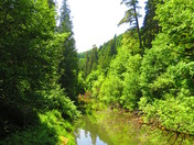 Siusilaw oregon