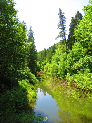 Siusilaw oregon