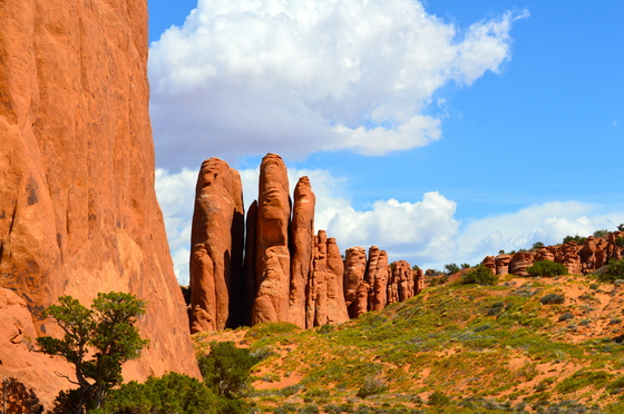 Arches