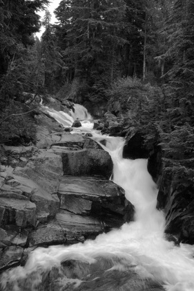 Mt. Rainier National Park