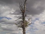 Bryce Canyon
