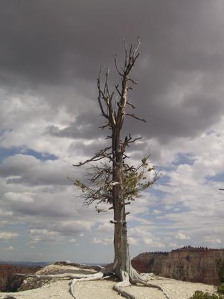 Bryce Canyon