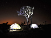 Joshua Tree National Park