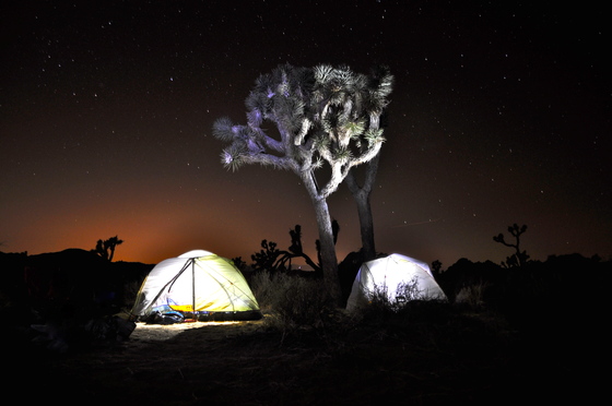 Joshua Tree National Park