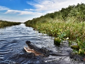 Everglades National Park