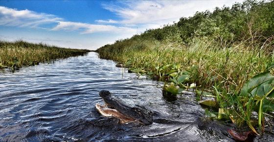 Everglades National Park