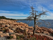  Acadia National Park Maine