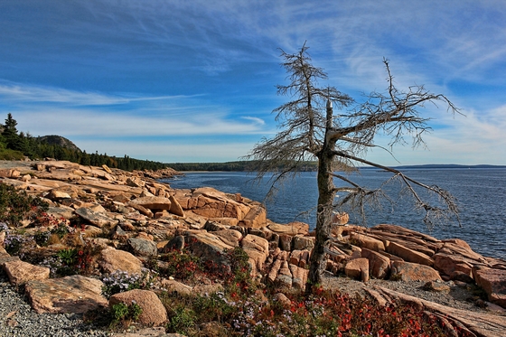  Acadia National Park Maine
