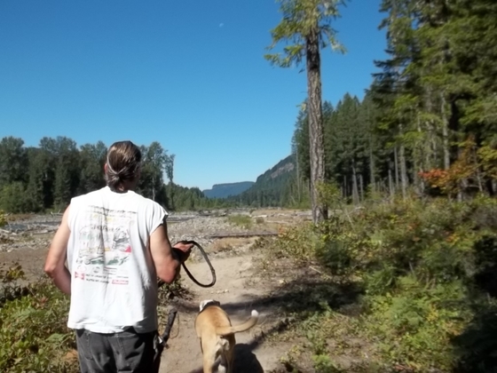 gifford pinchot national forrest