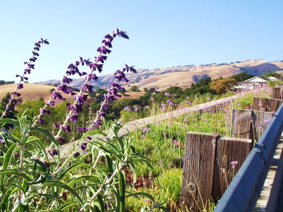 California