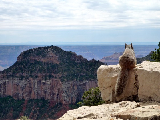 Grand Canyon