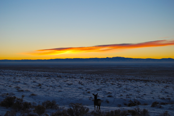 Great Sand Dunes National Park