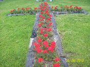 Cross shaped Flowerbed