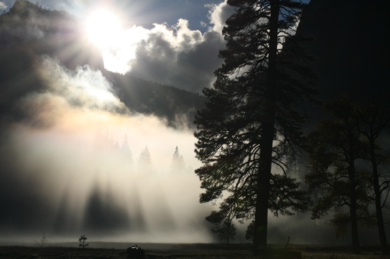 Yosemite National Park