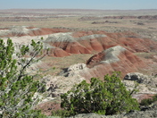 Petrified Forest National Park