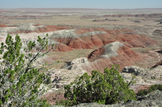 Petrified Forest National Park