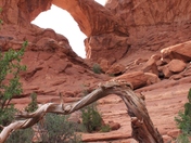 Arches National Park
