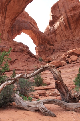 Arches National Park