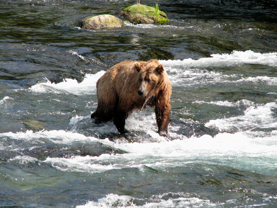 Katmai National Park and Preserve