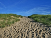 Cape Cod National Seashore