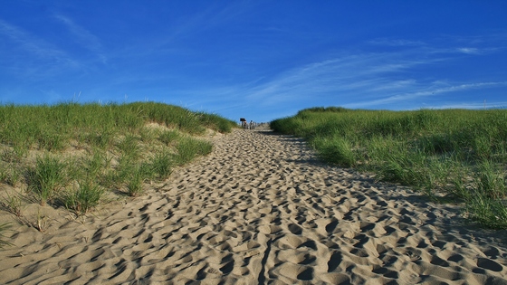 Cape Cod National Seashore