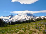 Mt Rainier National Park