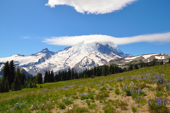 Mt Rainier National Park