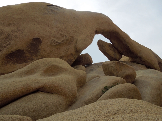 Joshua Tree National Park