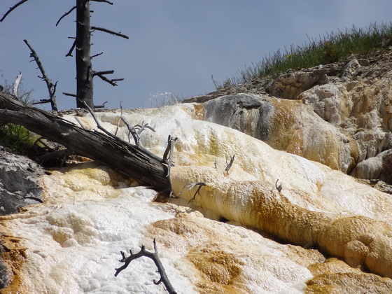 Yellowstone National Park