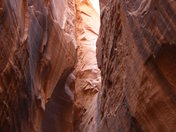 Capitol Reef National Burr Trail Road