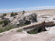 Petrified Forest National Park