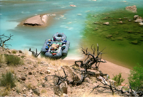 Grand Canyon NP