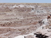 Petrified Forest National Park