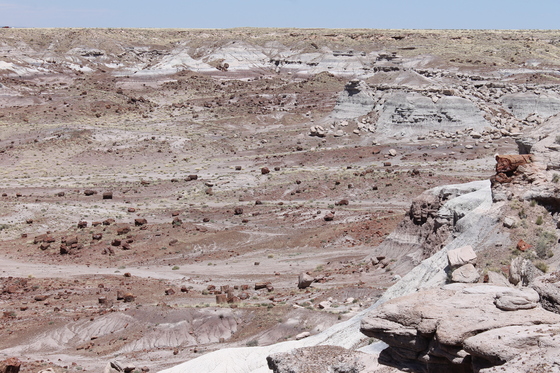 Petrified Forest National Park