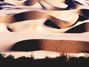 Oregon Dunes Nat. Rec. Area