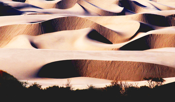 Oregon Dunes Nat. Rec. Area