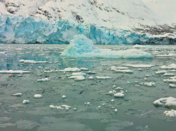 Glacier Bay National Park and Preserve