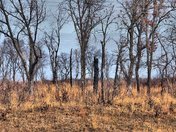 Sherburne National Wildlife Refuge