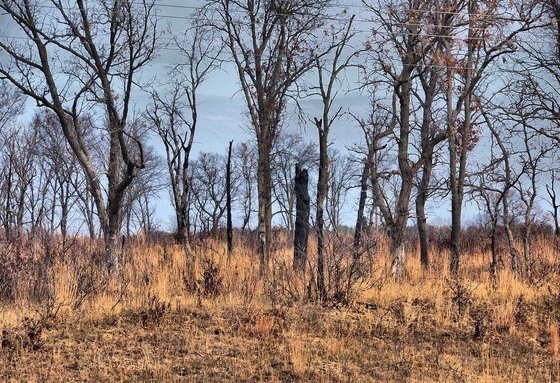 Sherburne National Wildlife Refuge