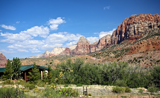 zion nat. park