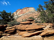 zion nat park