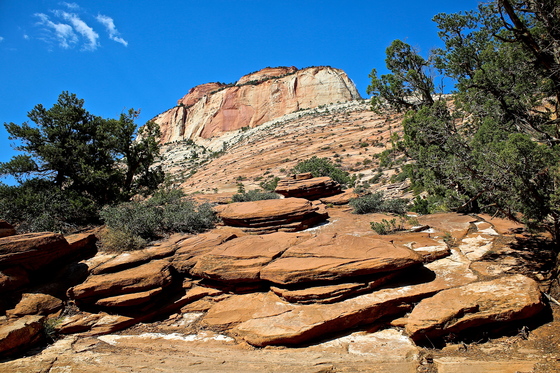 zion nat park