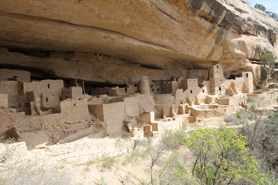 Mesa Verde