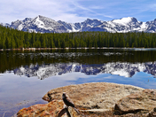 Rocky Mountain National Park/ Bierstadt Lake