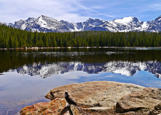Rocky Mountain National Park/ Bierstadt Lake