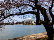 The National Mall