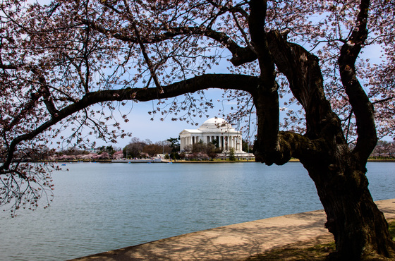 The National Mall