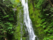 Olympic National Park