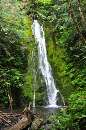 Olympic National Park